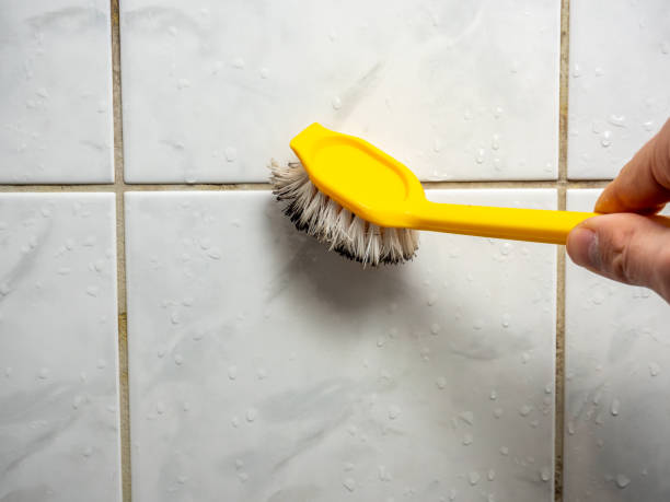 Trusted Valdez, AK Mold Removal Experts