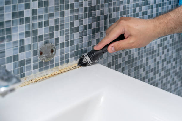 Best Residential Mold Removal  in Valdez, AK