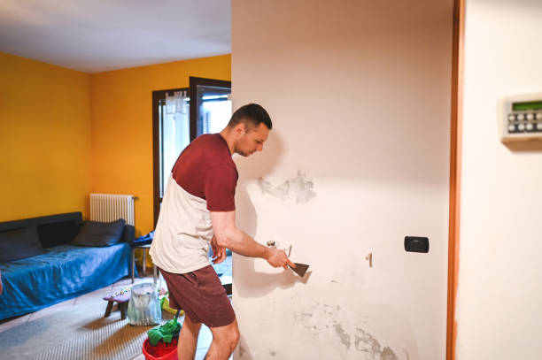 Mold Testing and Removal in Valdez, AK
